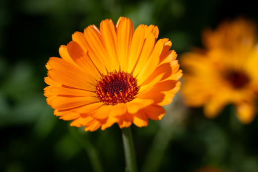 1755720 (a): :1920x1280